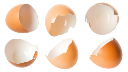 broken eggshell isolated on white background PNG