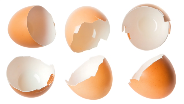 broken eggshell isolated on white background PNG