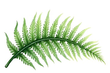 Naklejka premium Watercolor Forest Fern, Lush Green Plant