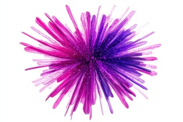 Obraz premium Vibrant purple and pink starburst light effect isolate on white background