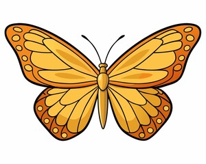 Butterfly Wing Stained Glass Art on White Background