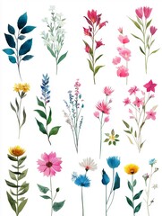 flat design watercolour style illustration of various delicate flowers on a white background 