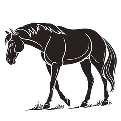 Black Silhouette of a Horse Walking in Grass