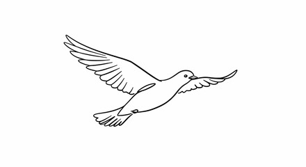 Obraz premium From Observation to Abstraction: A Minimalist Line Art Journey Through the Animal World 