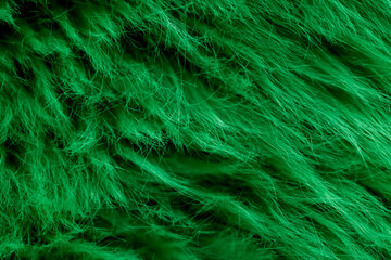 Obraz premium green fluffy cloth textured background