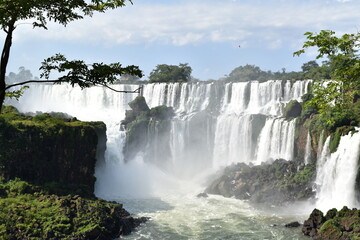 Fototapeta premium Iguazu waterfalls