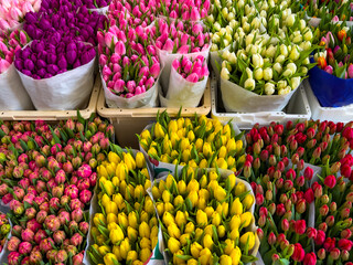 colorful assortment of tulips in paper wraps at a flower market. vibrant shades of pink, yellow, red, and white. spring