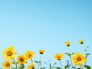 Fototapeta premium Sunflowers against a light blue sky