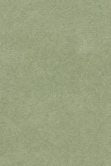Fototapeta premium Uniform surface texture in a muted sage green shade. A soft and calm color that is relevant in modern design.