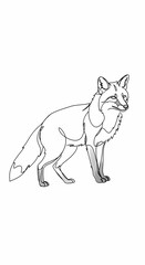 The Elegant Simplicity of Form: A Minimalist Line Art Collection of the Animal Kingdom
