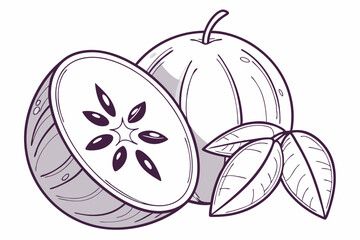 vector illustration of an apple