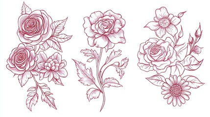 Red rose line art floral bouquet, design element, white background, for greeting cards