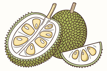 vector illustration of an apple