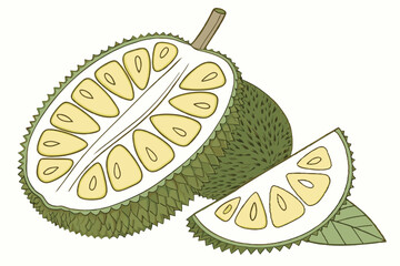 vector illustration of a pear