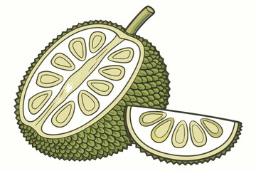 vector illustration of an apple