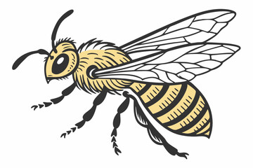 bee vector illustration