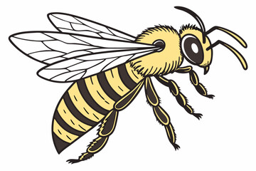 bee