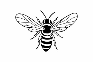 bee and flower