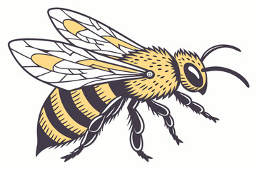 bee on white background