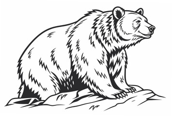 brown bear vector