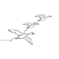 Line drawing of geese flying in formation on a transparent background  
