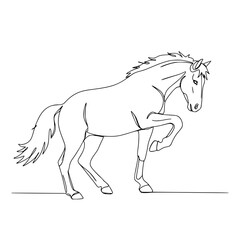 Line Drawing of a Horse in Motion on Transparent Background  
