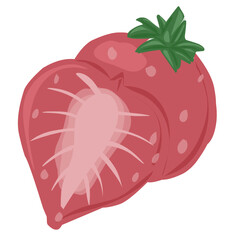 design vector doodle art illustration of fruty nature and healty food