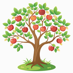 Apple tree with apple 