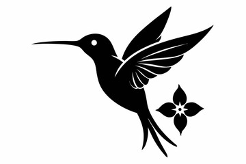 Fototapeta premium vector illustration of an hummingbird