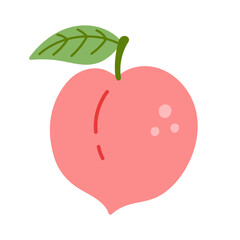 Peach fruit hand drawn vector illustration