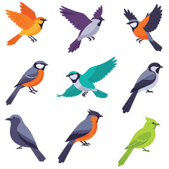 Creative Flat Vector Illustrations of Birds: Minimalist, Modern, and Perfect for Pet-Themed Graphics.Charming Flat Vector Birds Illustration: Playful, Minimal, and Versatile Cartoon Primate Design
