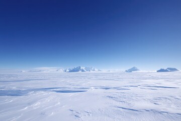 Obraz premium expanse of untouched snow blankets antarctic horizon under stark blue sky