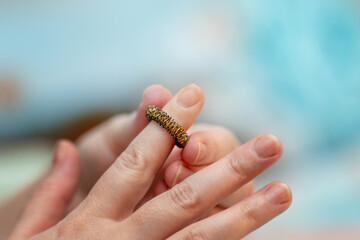 Self-massage of index finger using a Su-Jok metal spring ball for acupressure and pain relief therapy