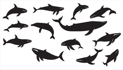 A vector set features black silhouettes of sea animals, including dolphins and other wildlife