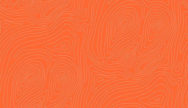 Seamless Salmon Pattern Meat. Seafood Abstract Line Fish Skin BG Texture. Gourmet Sushi Japanese Orange Curve Wave. Fresh Dish Tuna Steak Fillet Outline Illustration.