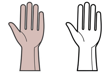 Hand Palm Cartoon on White Background in Color and Outline Versions