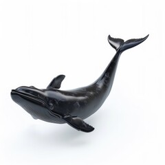 Monochromatic humpback whale in mid-leap.