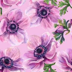 Anemone flower with leaves vector seamless pattern. Spring theme wallpaper. Boho floral pink purple anemone design element.