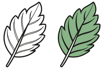 Fototapeta premium Single leaf outlined in black and one green leaf on white background