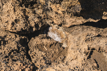 Detail of tafoni which are cavities that develop in granular rock
