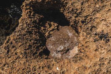 Detail of tafoni which are cavities that develop in granular rock