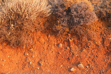 Detail of terra rosa soil with visible layers