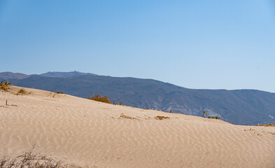 Ripple marks formed by aeolian processes on a sandy beach in Mediterranean region