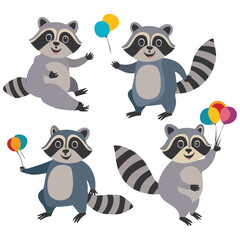 Cute Raccoon