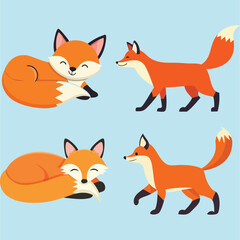 Obraz premium Cute fox