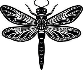 Tiny Dragonfly Head Isolated