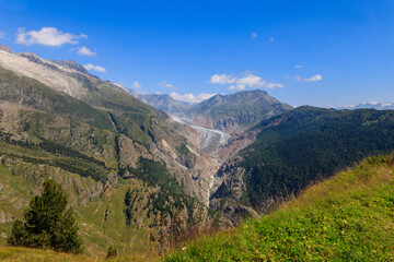 Fototapeta premium Scenic view on Great Aletsch Glacier in Valais canton, Switzerland. View from Belalp village