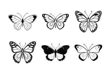 set of vector butterflies