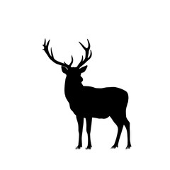 Black and White vector llustration  Silhouette of Majestic Deer Stag with Antlers – Minimalist Black and White Wildlife Vector Illustration