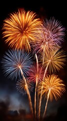 Colorful fireworks burst against a dark night sky